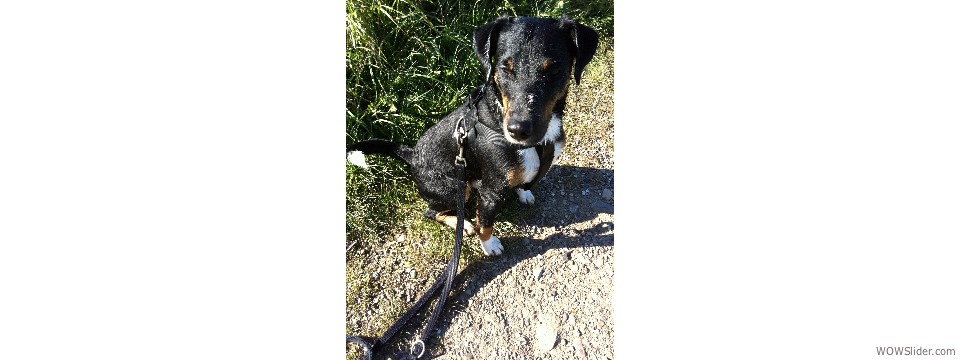 Ganz schön kalt nach'm baden!