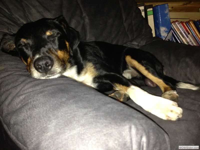 Jetzet brauch ich Schlaf...