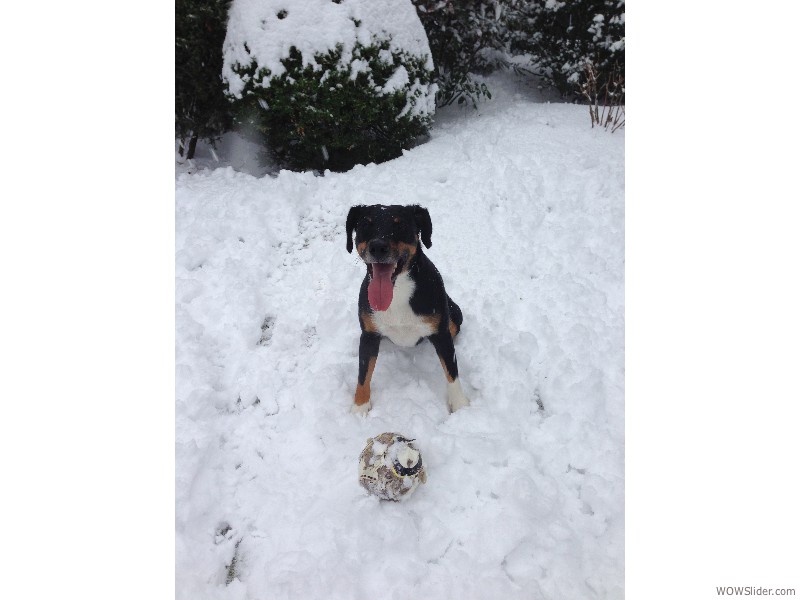 Schnee bei mir zu Hause...